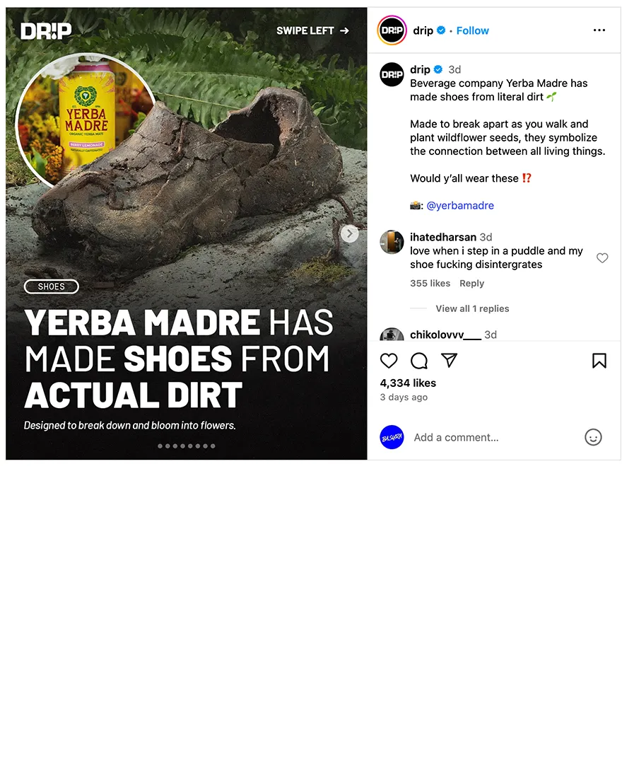 Yerba Madre press coverage